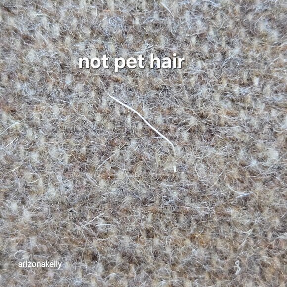 NWT Saint + Sofia Sutton Skull Scarf Beige Wool Blend - Picture 6 of 10